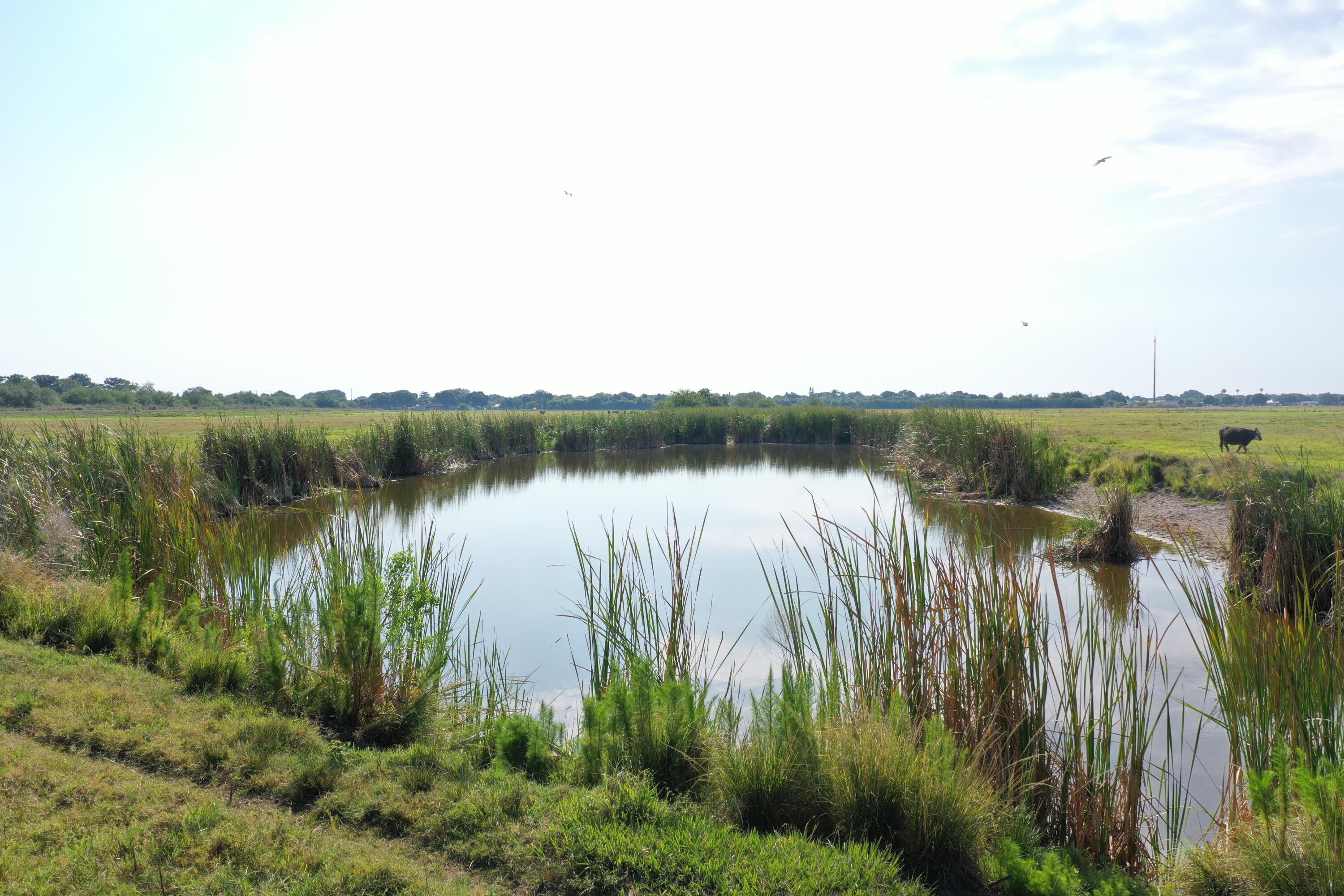 TAYLOR CREEK - Land