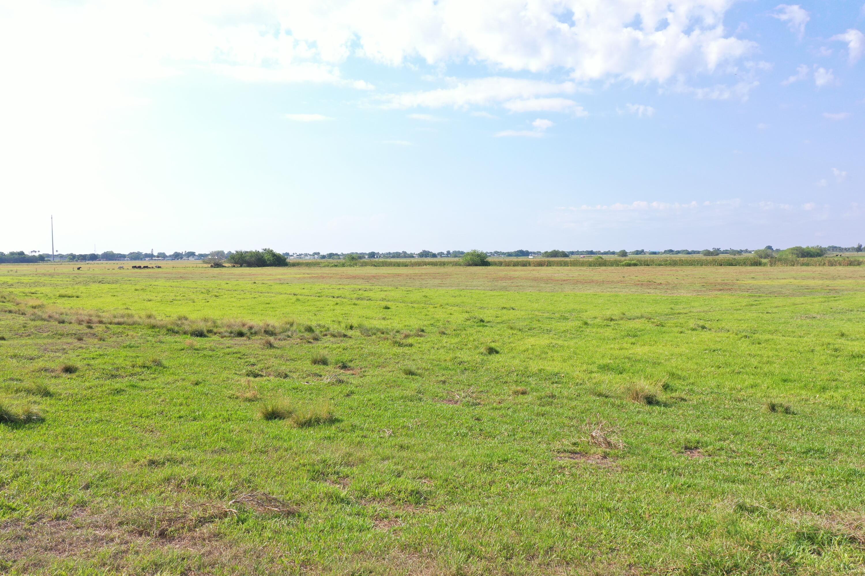 TAYLOR CREEK - Land