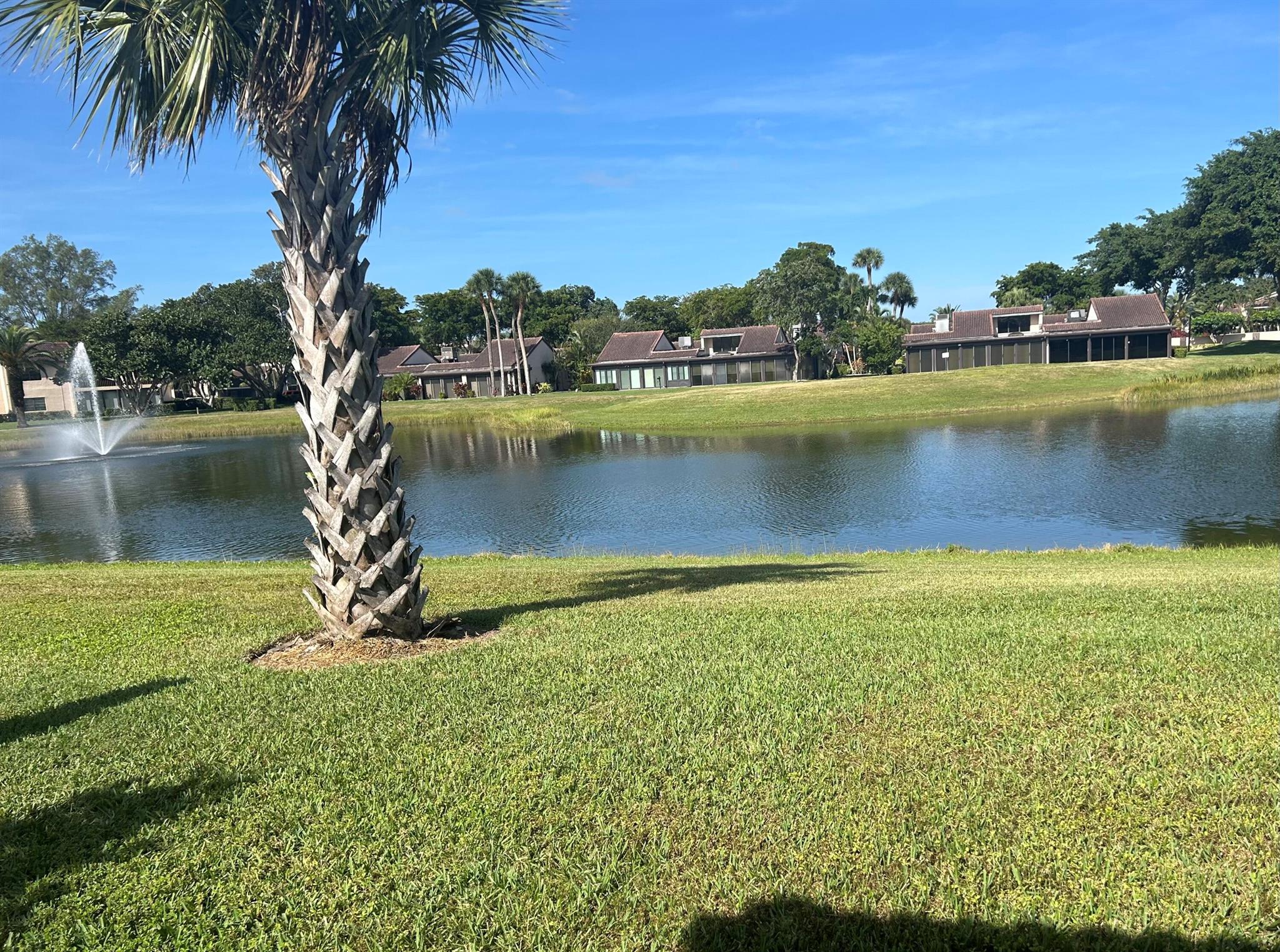 Boca Flores Condo - Residential