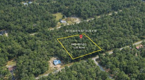 0000 SW Rainelle Road Dunnellon FL 34431
