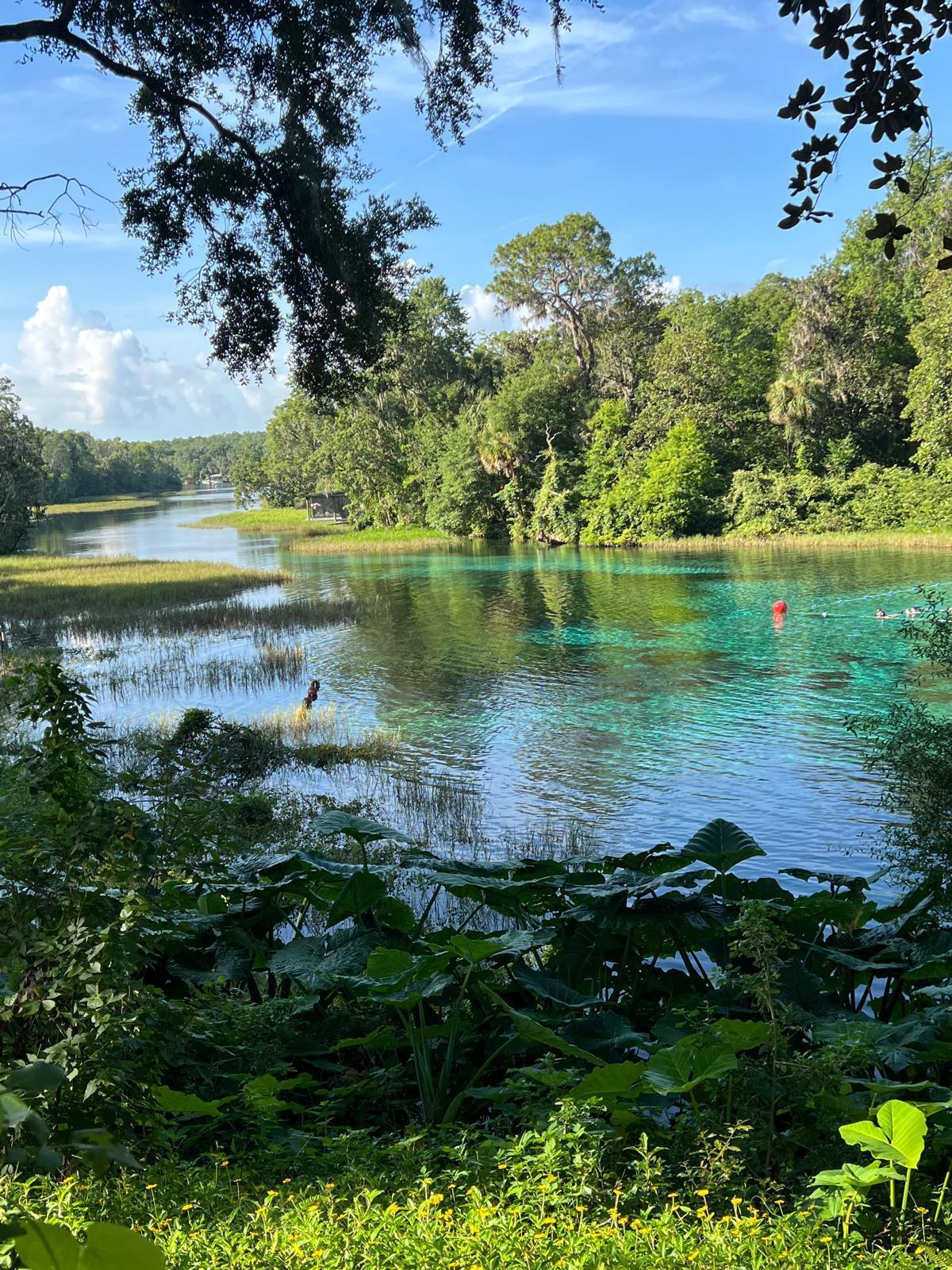 Rainbow Lake Estates - Land