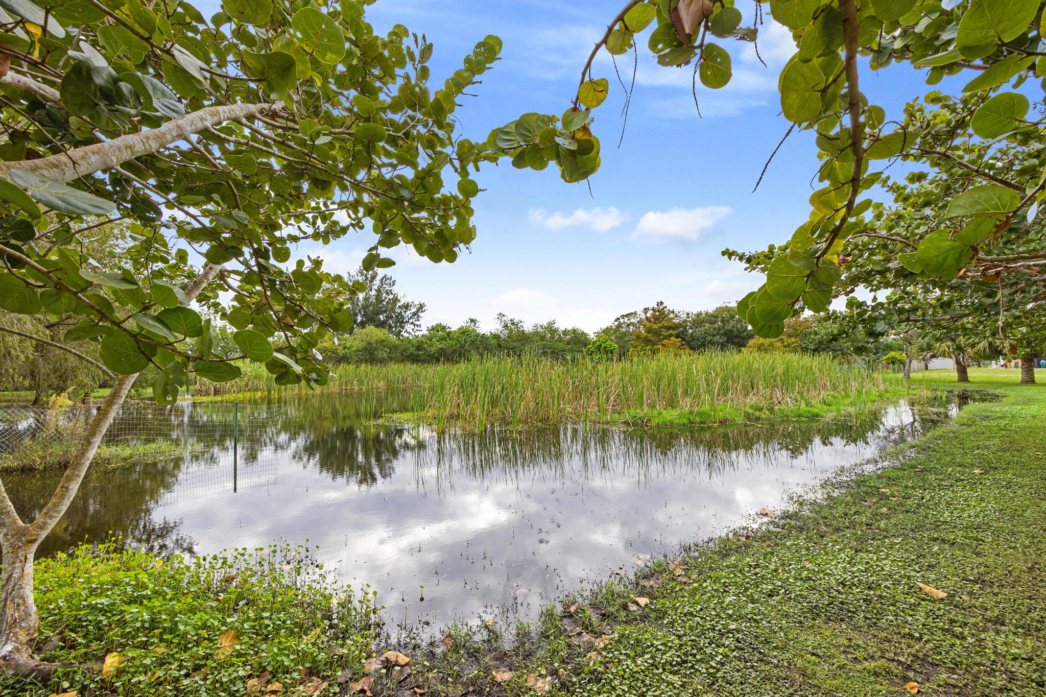 GENTILE LAND - Residential