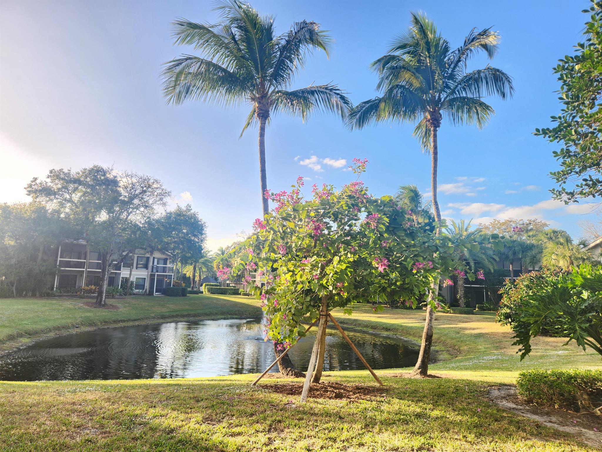 TENNIS LODGES NO 1 COND D - Residential