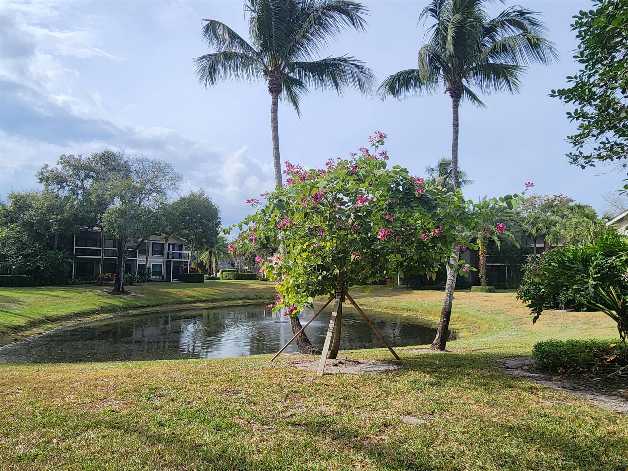 TENNIS LODGES NO 1 COND D - Residential
