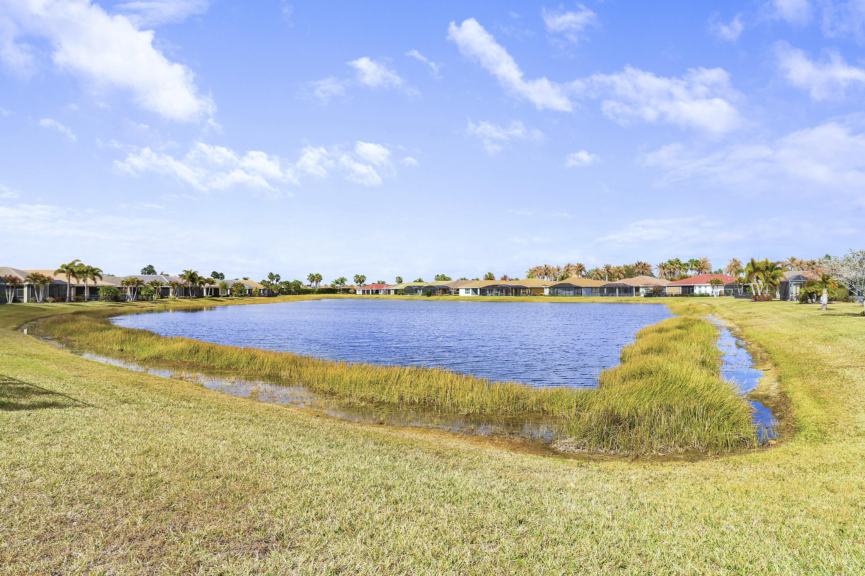 Vitalia at Tradition - Residential