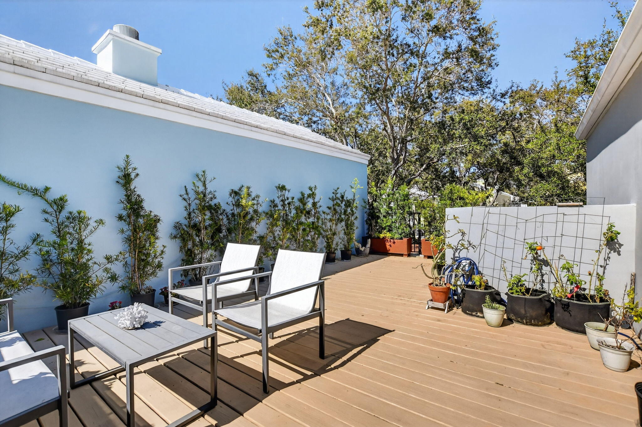 CHARLESTON PLACE - Residential