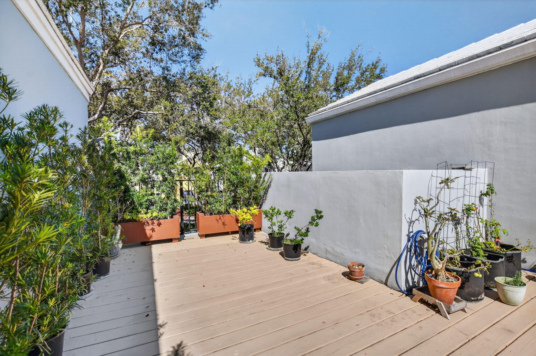 CHARLESTON PLACE - Residential