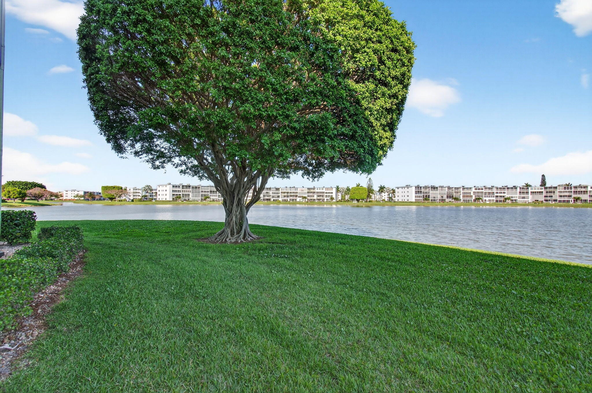 CENTURY VILLAGE - Residential