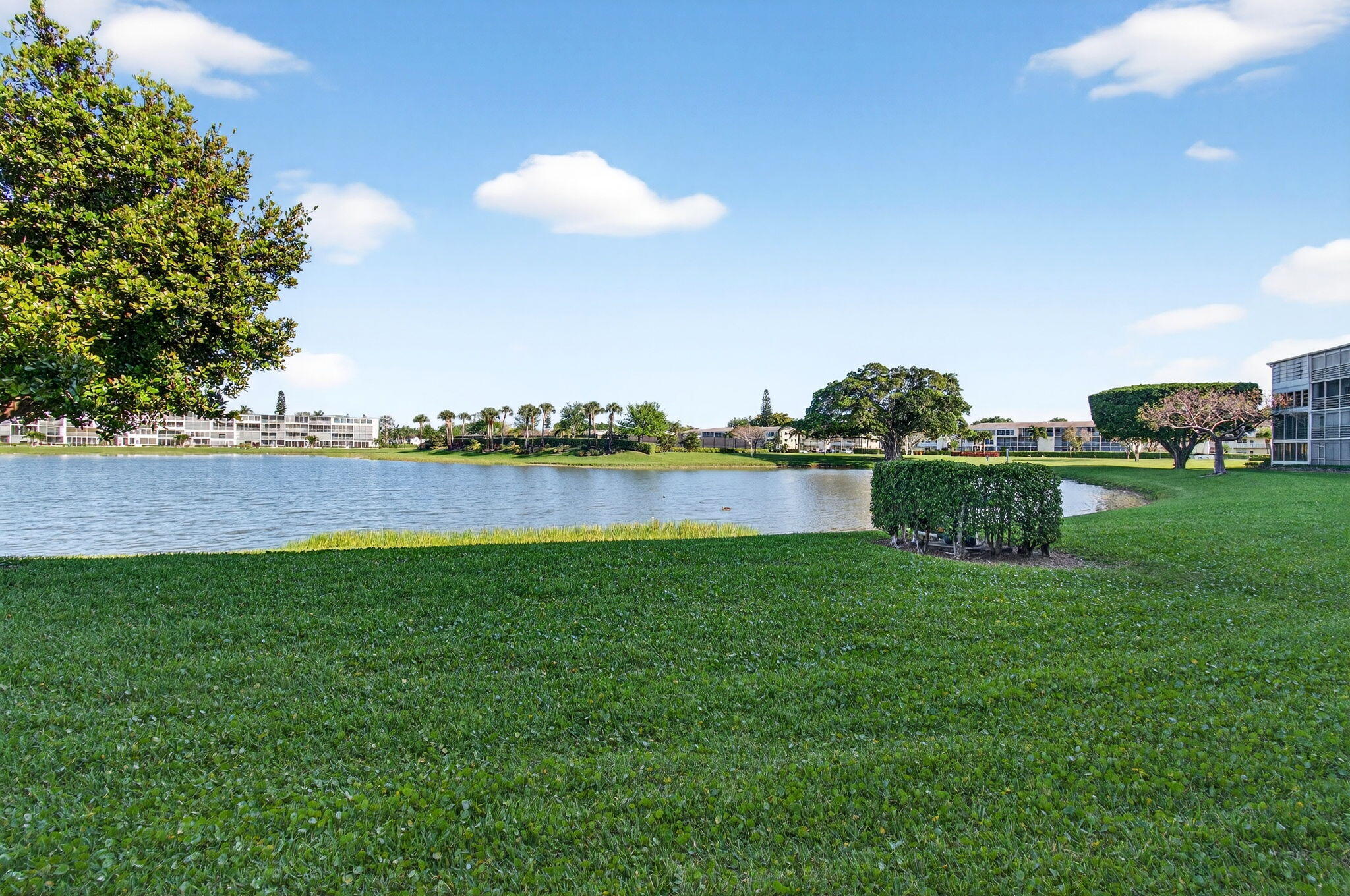 CENTURY VILLAGE - Residential