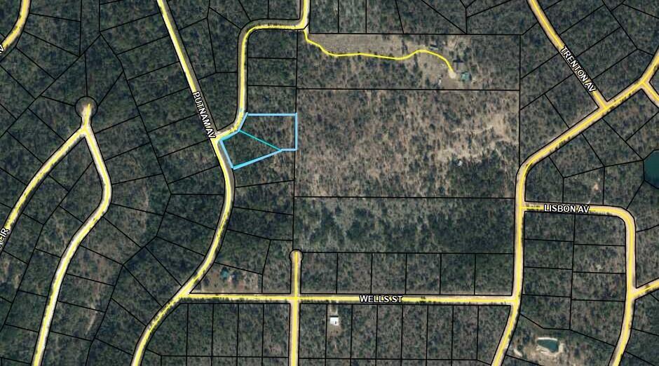 Don't miss out on this rare opportunity to own 2 neighboring parcels totaling 2.54 acres in Compass Lake in the Hills. This wooded residential lot is located on the corner of Putnam Ave and Genesso Ave! This serene property is an ideal canvas for your dream home. It's conveniently situated close to Compass Lake, a picturesque spot for boating, skiing, fishing, and swimming. The community amenities include a clubhouse, restaurant, tennis courts, swimming pool, picnic areas, and a business center. Plus, it's just a short drive from Hwy 231, approximately 45 minutes to Panama City, and about an hour to the stunning Gulf Coast beaches. Don't miss this investment opportunity in the flourishing panhandle of Northwest Florida! For directional purposes use the nearby address 950 Genesso Ave.