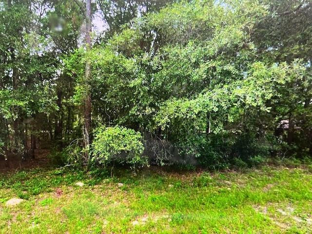 Citrus Spgs Unit 05 - Land