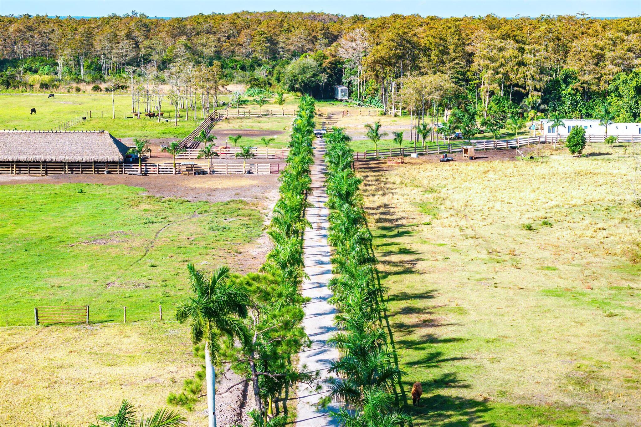 KING SOUTH KING NIEBEL TO - Land