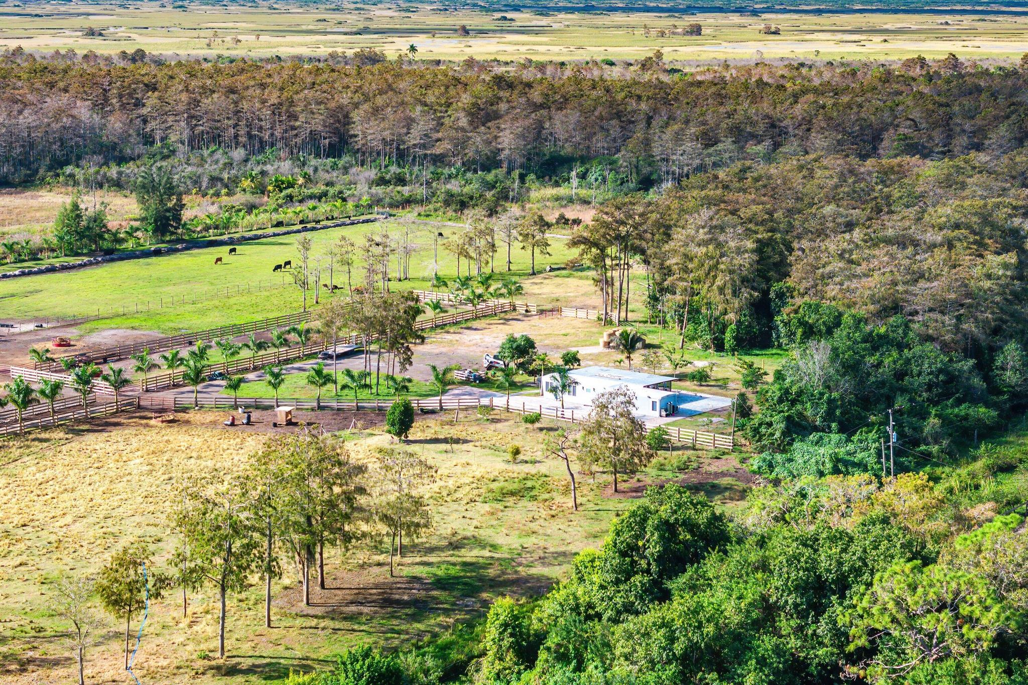 KING SOUTH KING NIEBEL TO - Land