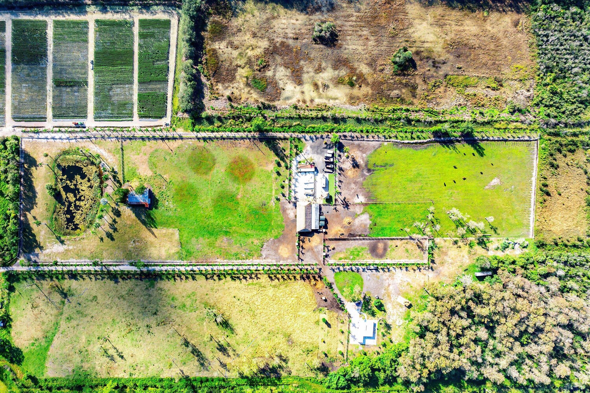 KING SOUTH KING NIEBEL TO - Land