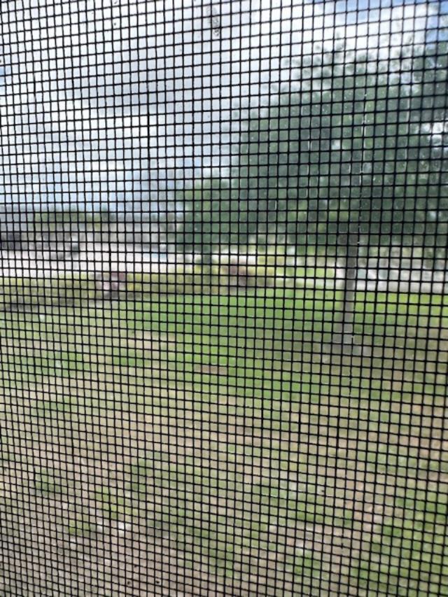 ORIOLE GARDENS TWO 47 CONDO - Residential