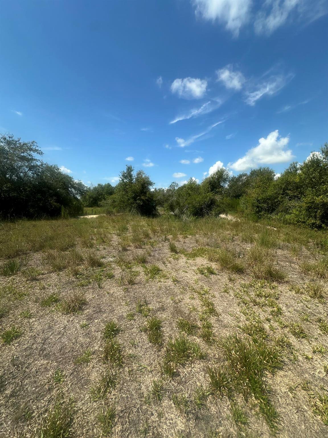 VIKING/PRAIRIE - Land