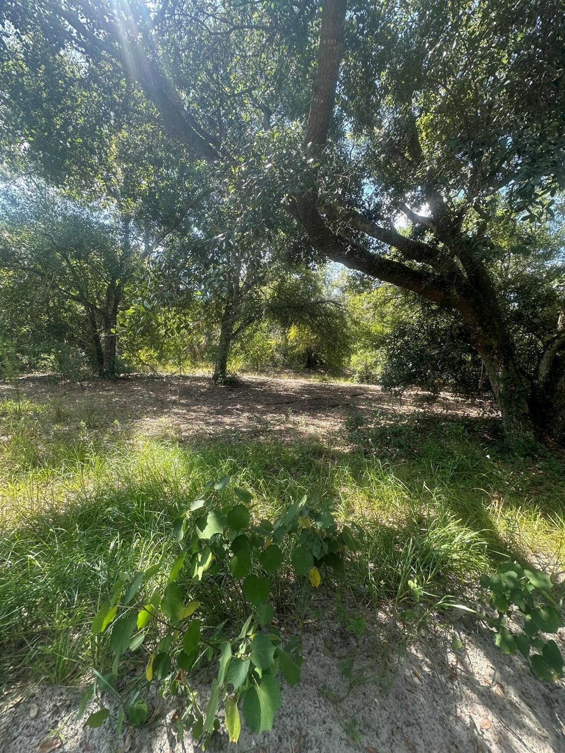 VIKING/PRAIRIE - Land