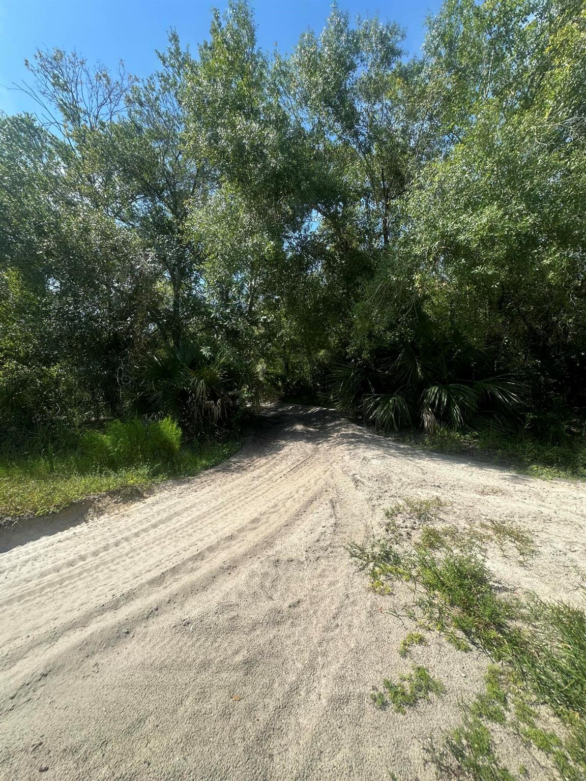 VIKING/PRAIRIE - Land