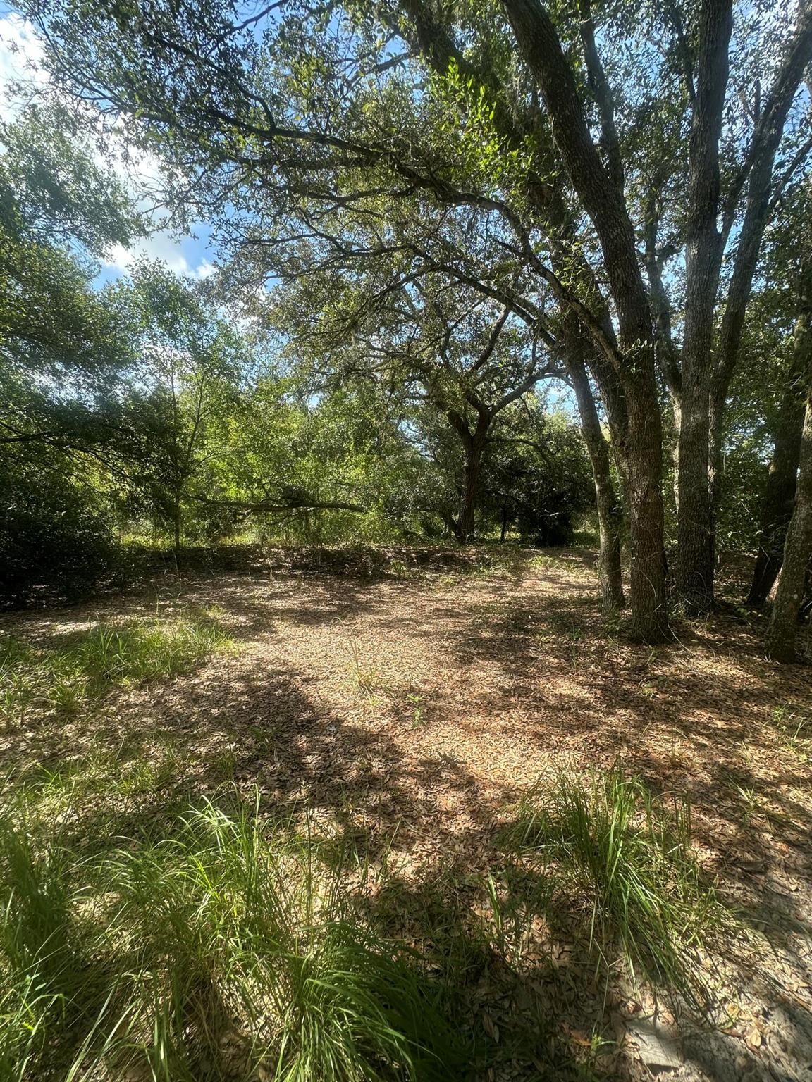 VIKING/PRAIRIE - Land