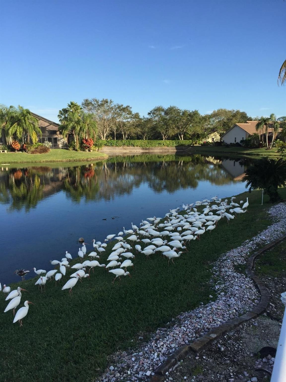 BROOKSIDE GROVE - Residential