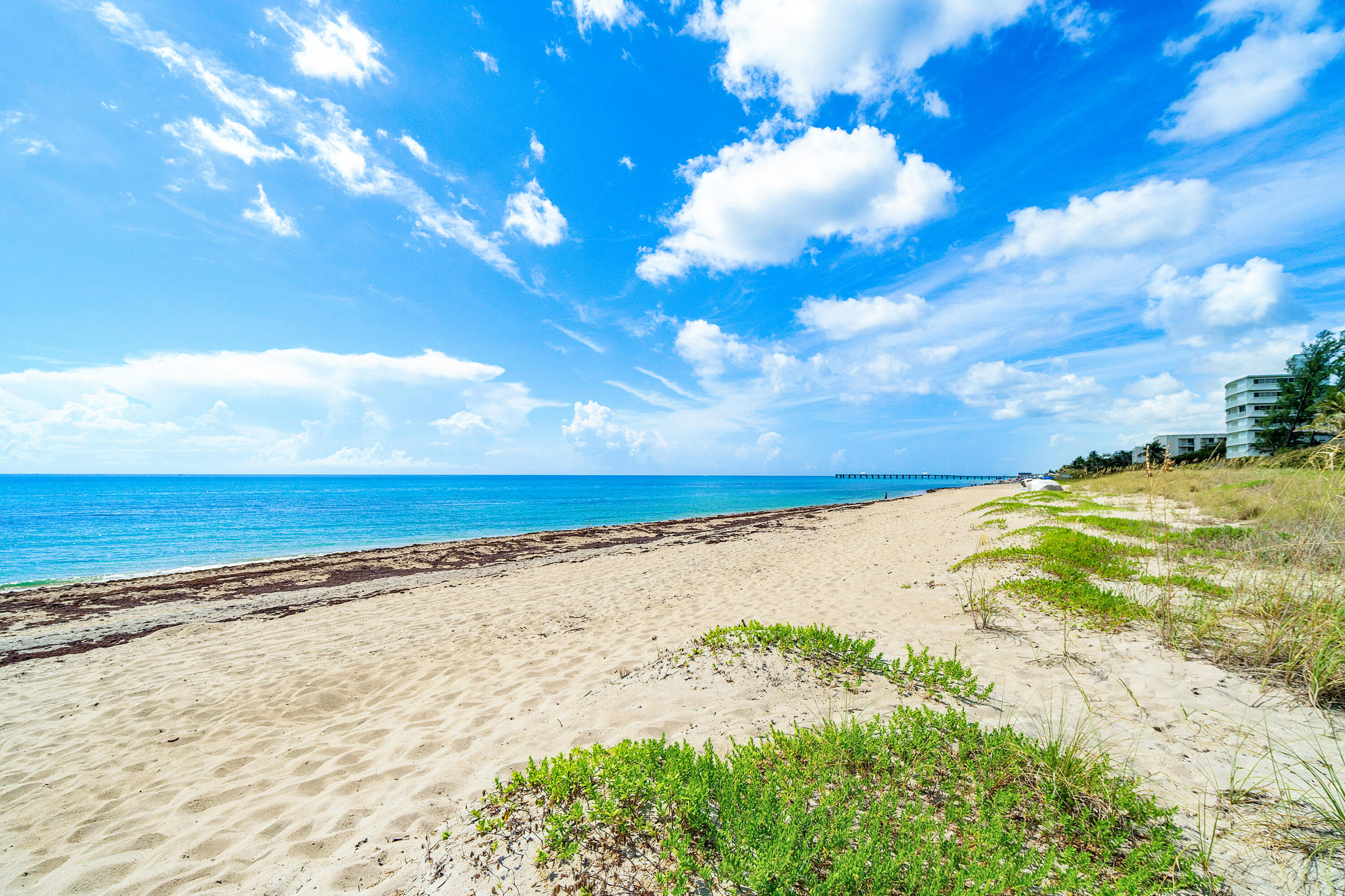 REGENCY OF PALM BEACH INC - Residential