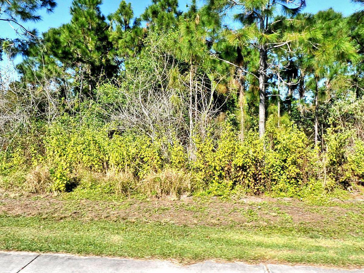 Build your dream home on this spacious vacant lot. The lot next door is also available. Perfectly located for your future Florida home or investment! Situated in the heart of Port St. Lucie, this lot offers easy access to I-95 and the Florida Turnpike, making commuting very easy and also offering convenient connections to shopping, dining, and entertainment options! Located in a growing community, this property is perfect for those seeking a quiet, peaceful neighborhood while remaining close to the amenities of the area.