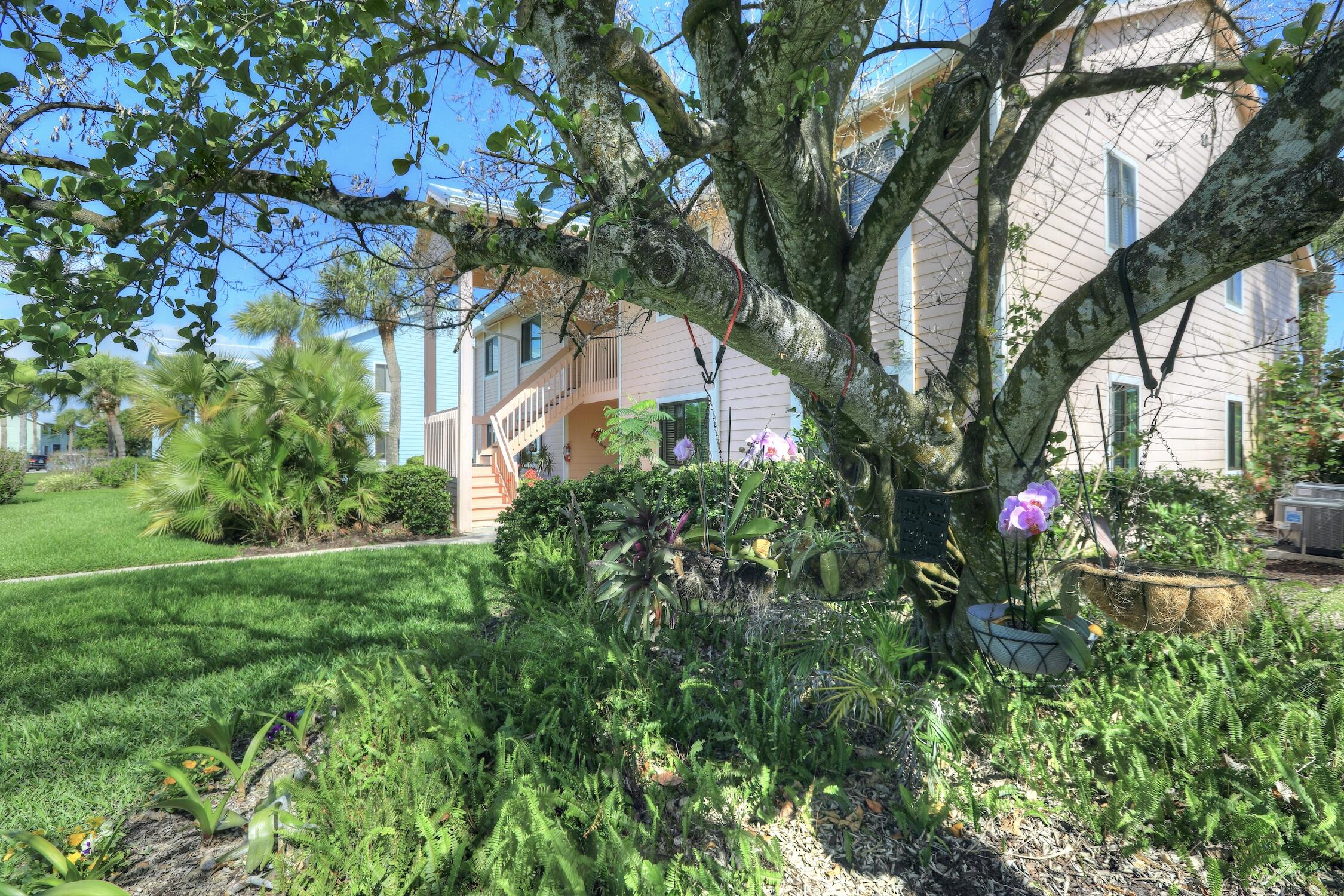 PELICAN POINTE OF SEBASTIAN V - Residential