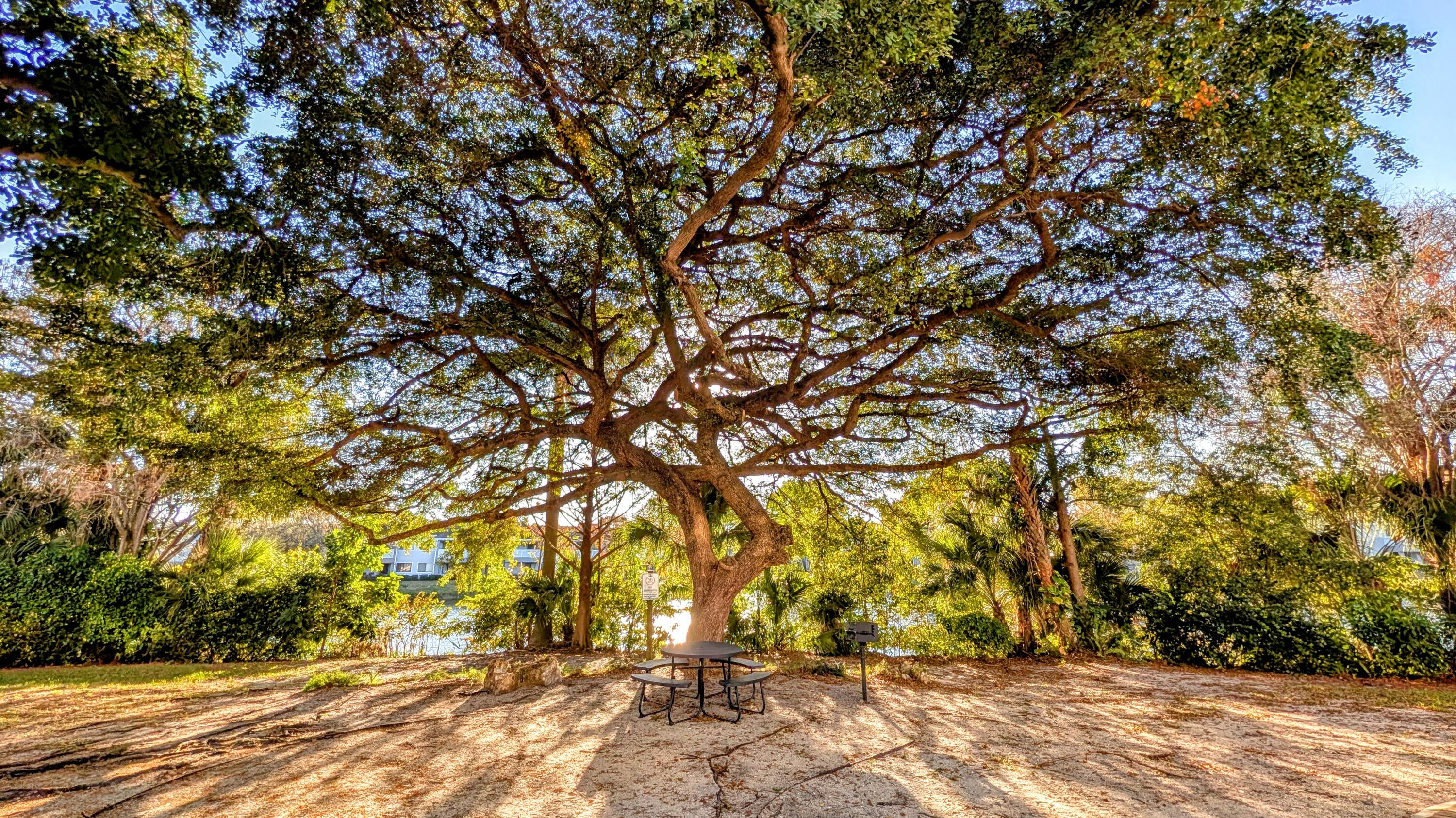 BOYNTON LANDINGS CONDO - Residential Lease