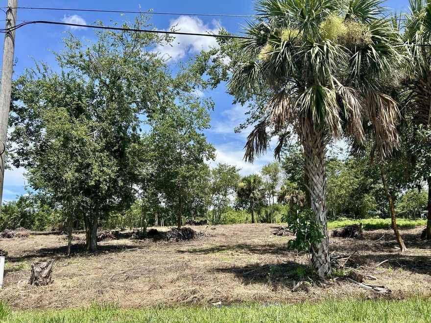Build your dream home on this prime vacant lot in Moore Haven! Cleared, surveyed, and ready for construction, this property is just steps from the scenic Caloosahatchee River and the brand-new school currently being built. Centrally located with quick access to both Florida's East & West Coasts. Need more space? The adjacent lot is also for sale (MLS#RX-11114522) -- giving you the perfect opportunity to expand your vision!