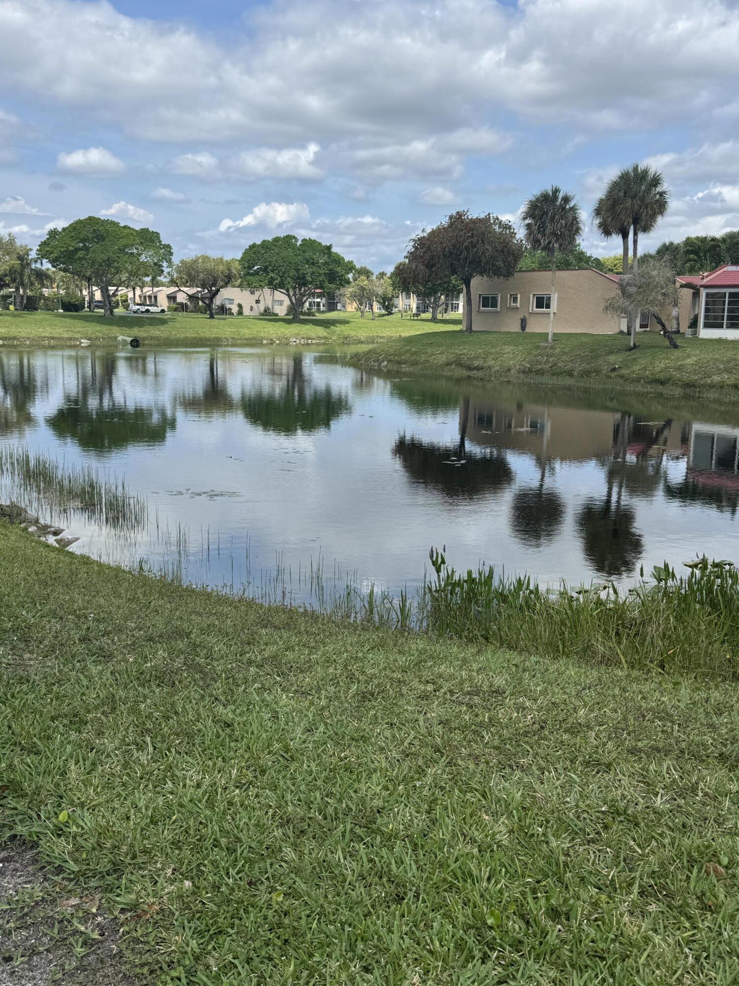 117 Golden River Drive