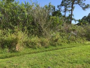 Great location to put up a new home.