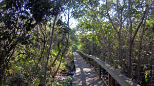 RIVER PINES - Residential Lease