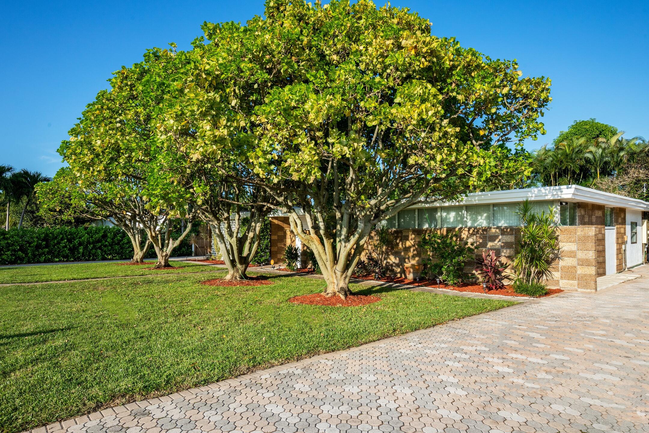 7306 Clarke Road