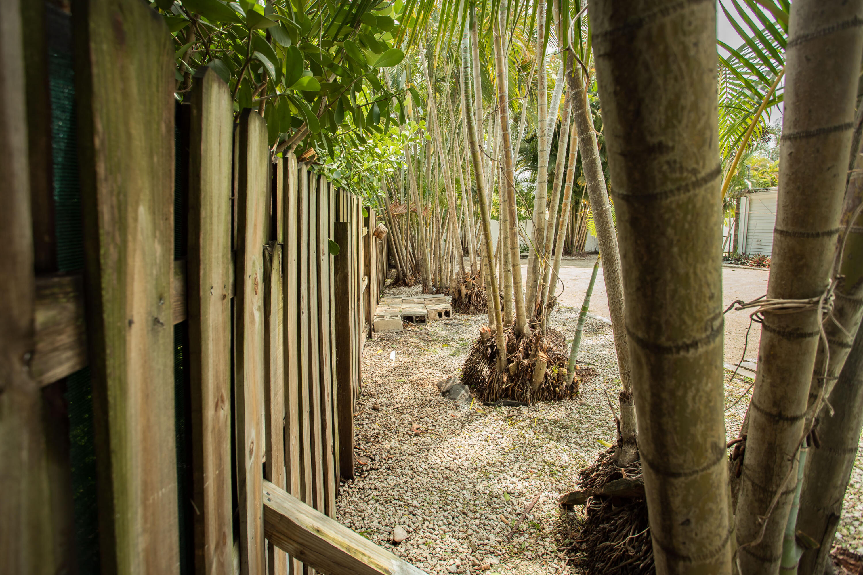 FLA-MANGO GROVELETS - Residential