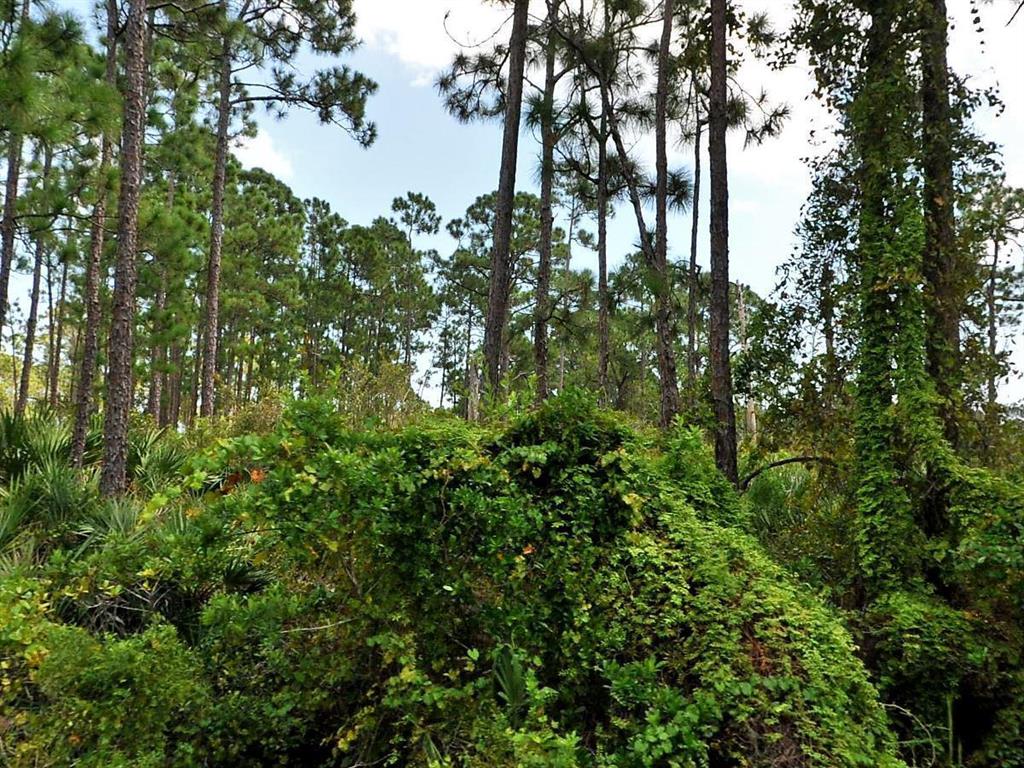 Build you dream home in this beautiful area in north Ft Pierce on a wooded 1.15 acre lot. Just south of Vero Beach . close proximity to river ,boat launch access & Ft Pierce beaches. Nearby grocery store and shopping plaza. area is 4 mile east of I-95.This property has culvert already in place to access property (with swing gate)