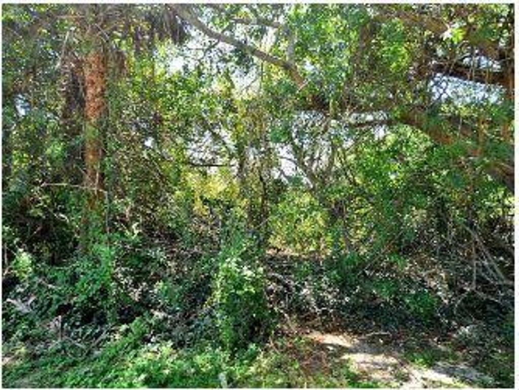 Photo of Xxxx Edwin Avenue, Fort Pierce, FL 34982 (MLS # R10740060)