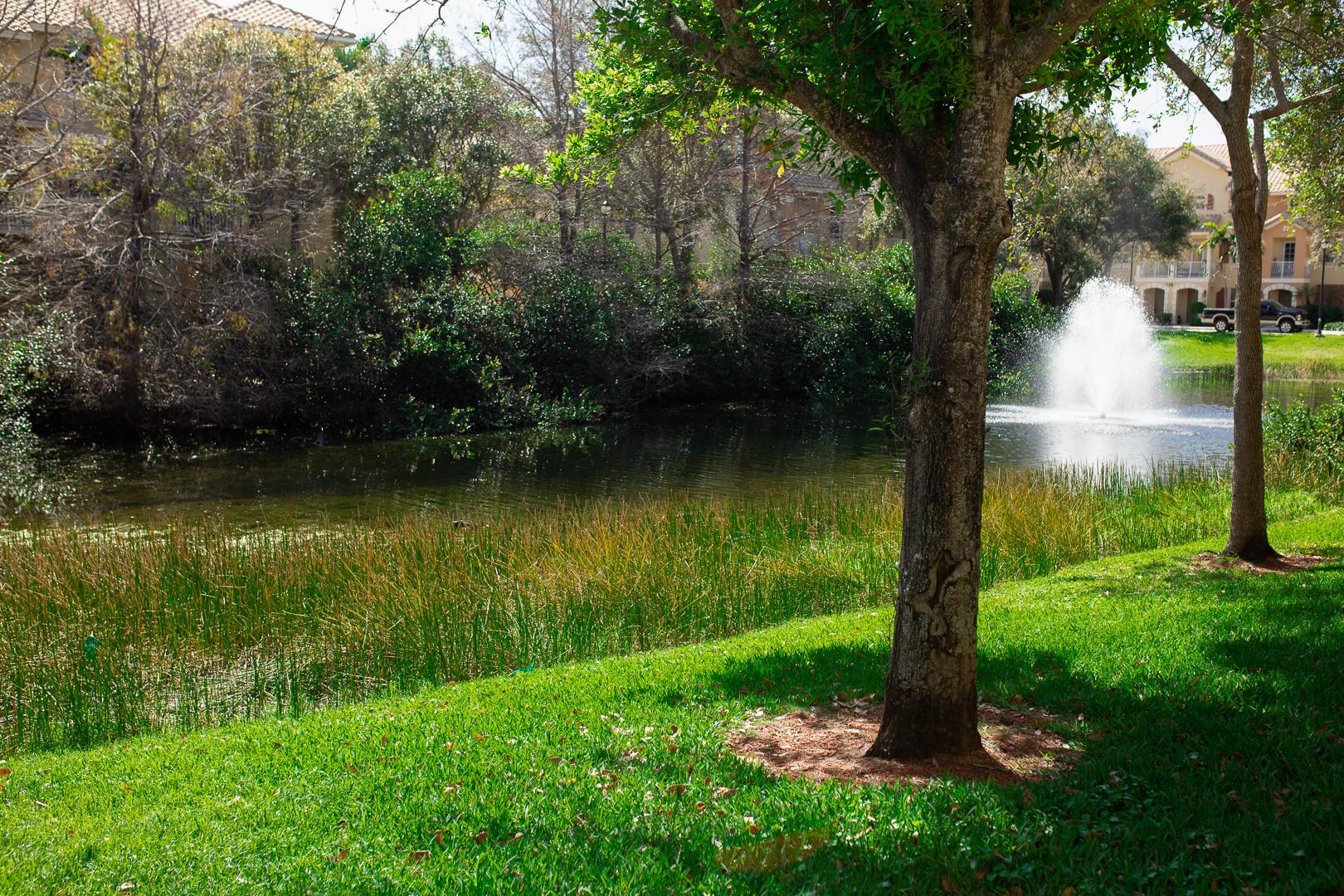 RENAISSANCE COMMONS PUD - Residential