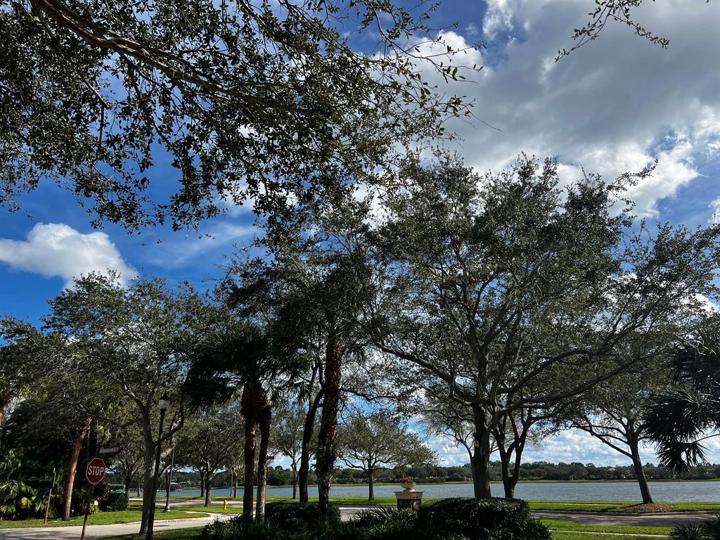 Photo of 509 Tomahawk Court, Palm Beach Gardens, FL 33410 (MLS # R10939772)