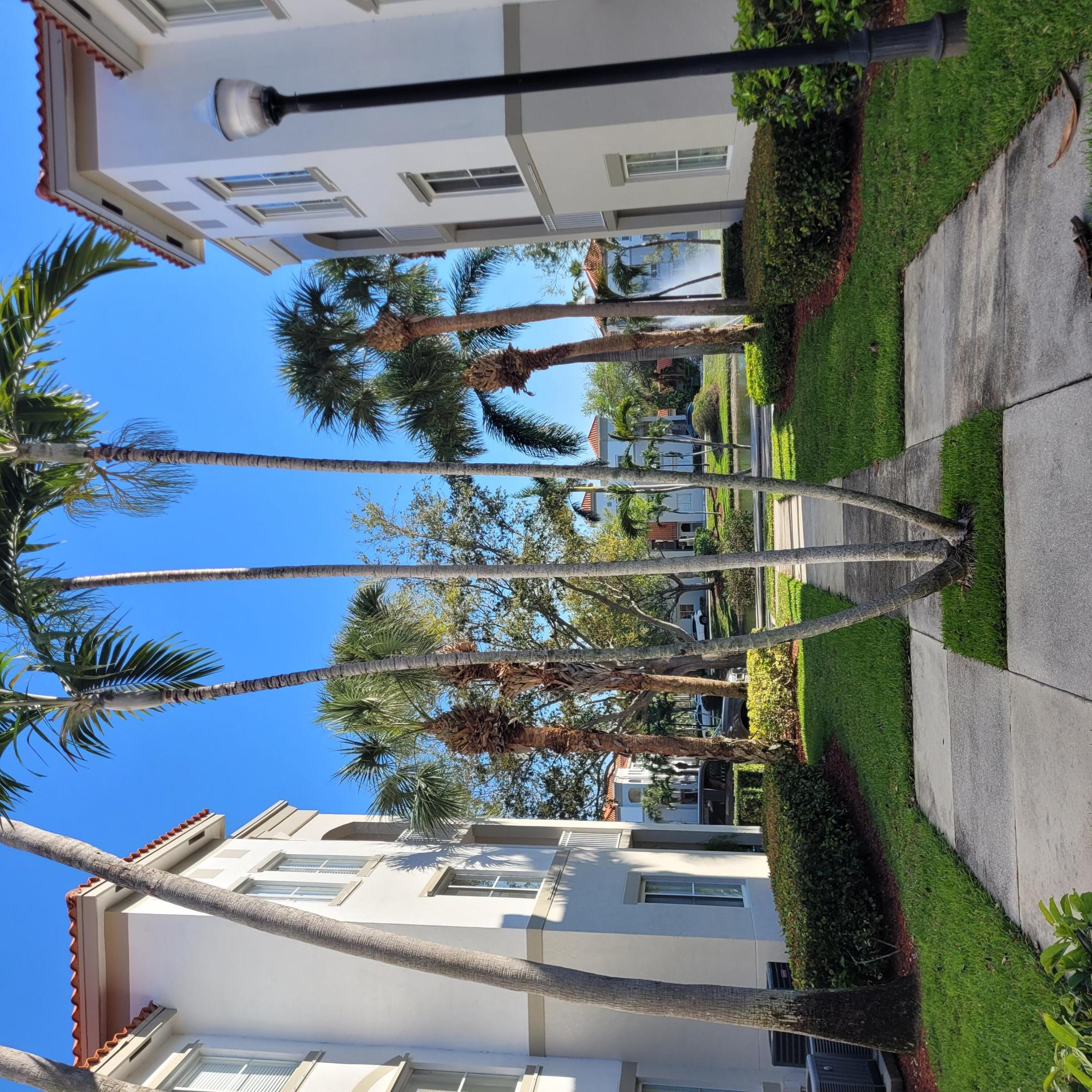 RESIDENCES AT LEGACY PLACE CONDO - Residential Lease