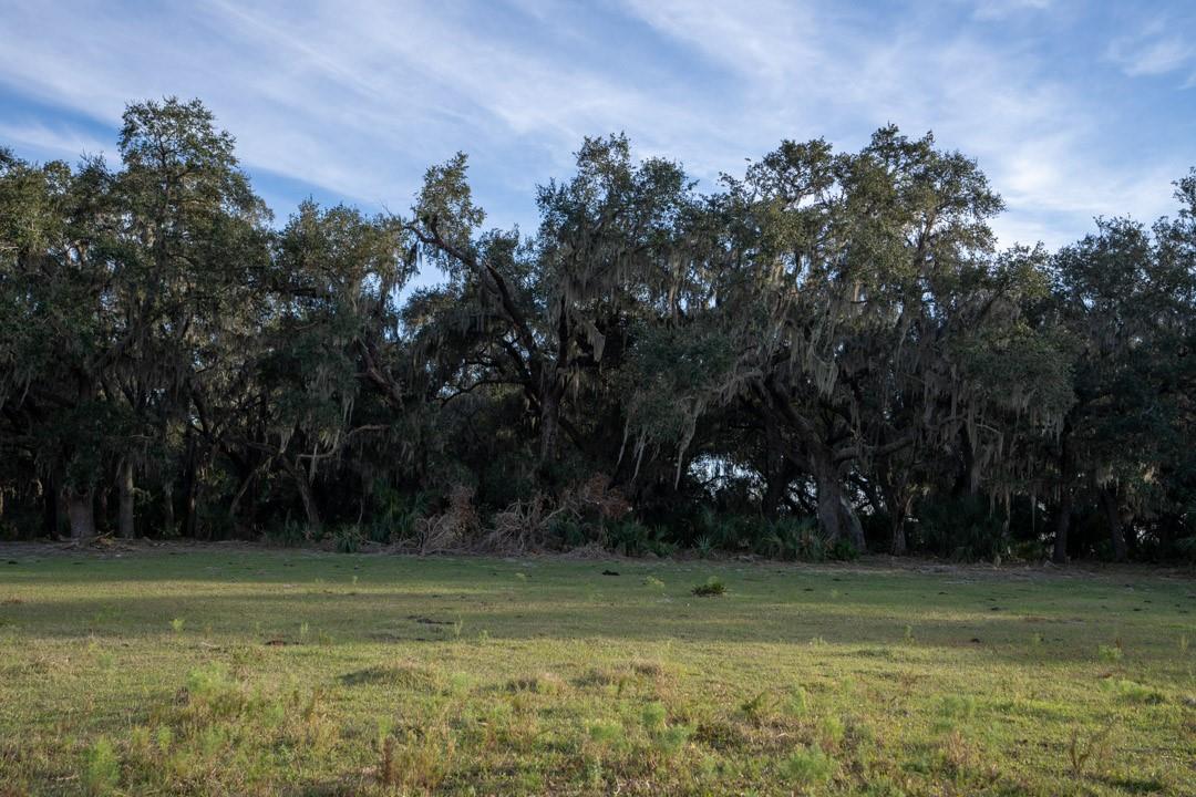Lake Hatcheneha - Land