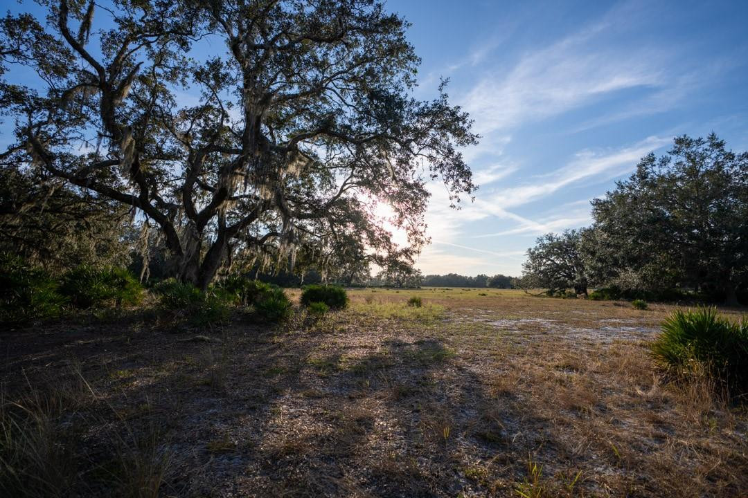 Lake Hatcheneha - Land