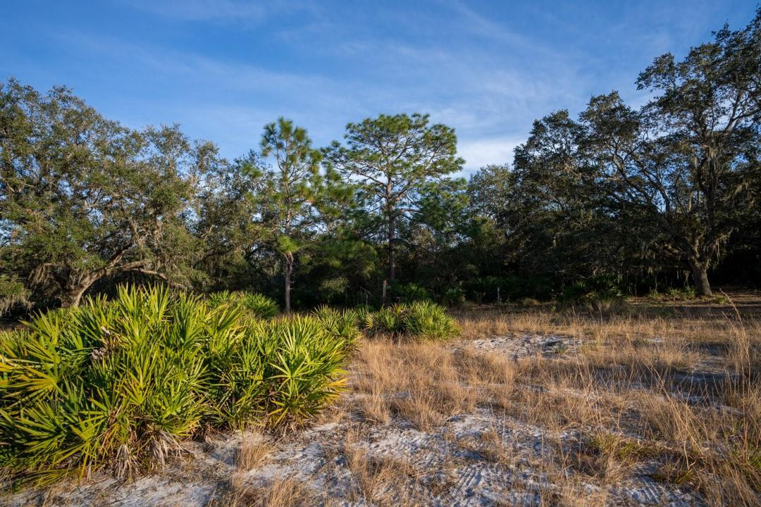 Lake Hatcheneha - Land