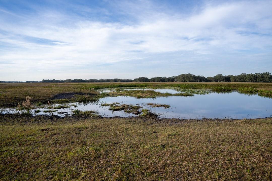 Lake Hatcheneha - Land