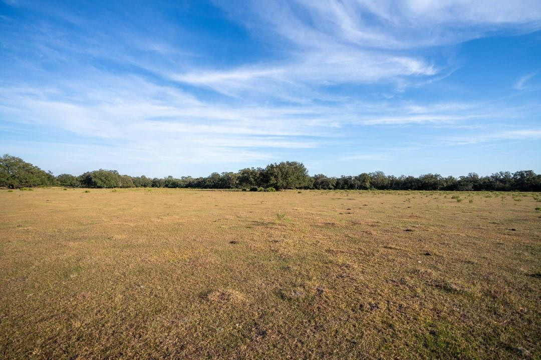 Lake Hatcheneha - Land