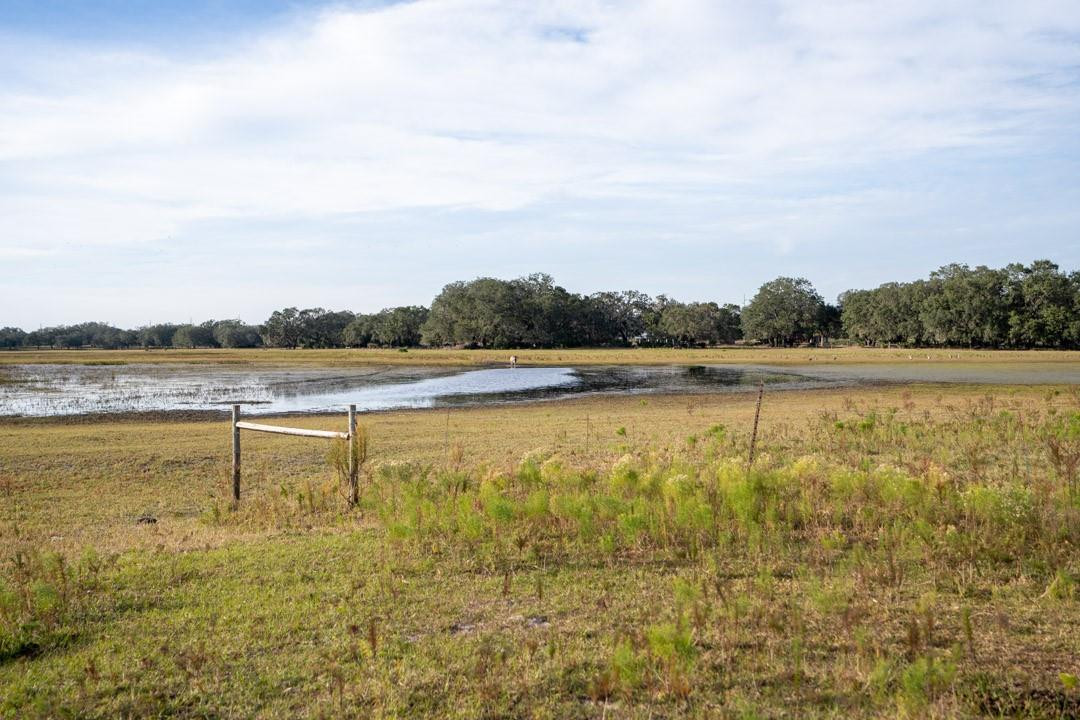 Lake Hatcheneha - Land