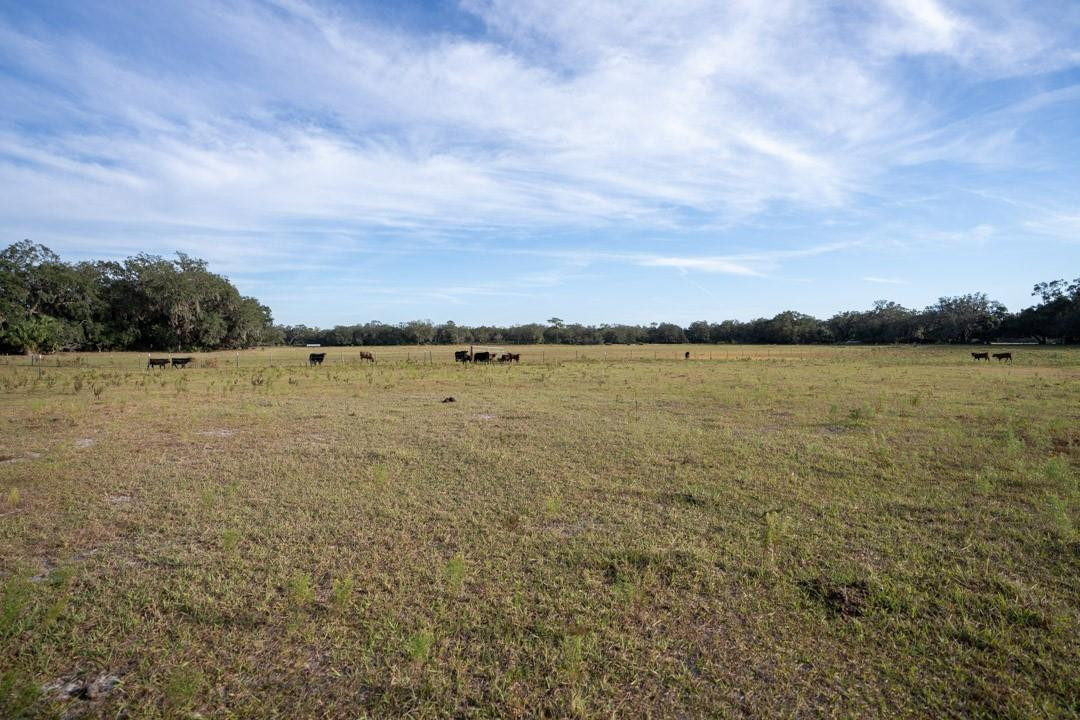 Lake Hatcheneha - Land