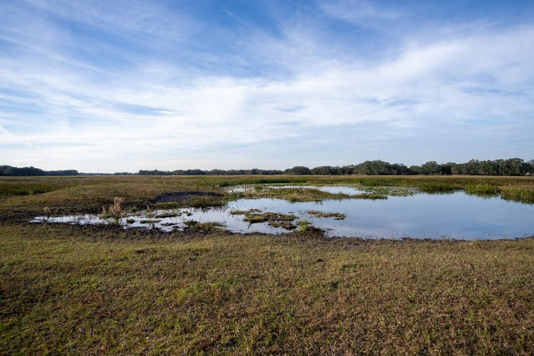 Lake Hatcheneha - Land