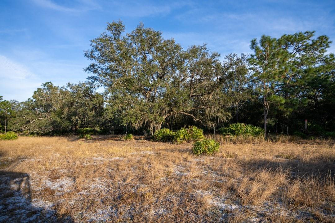 Lake Hatcheneha - Land