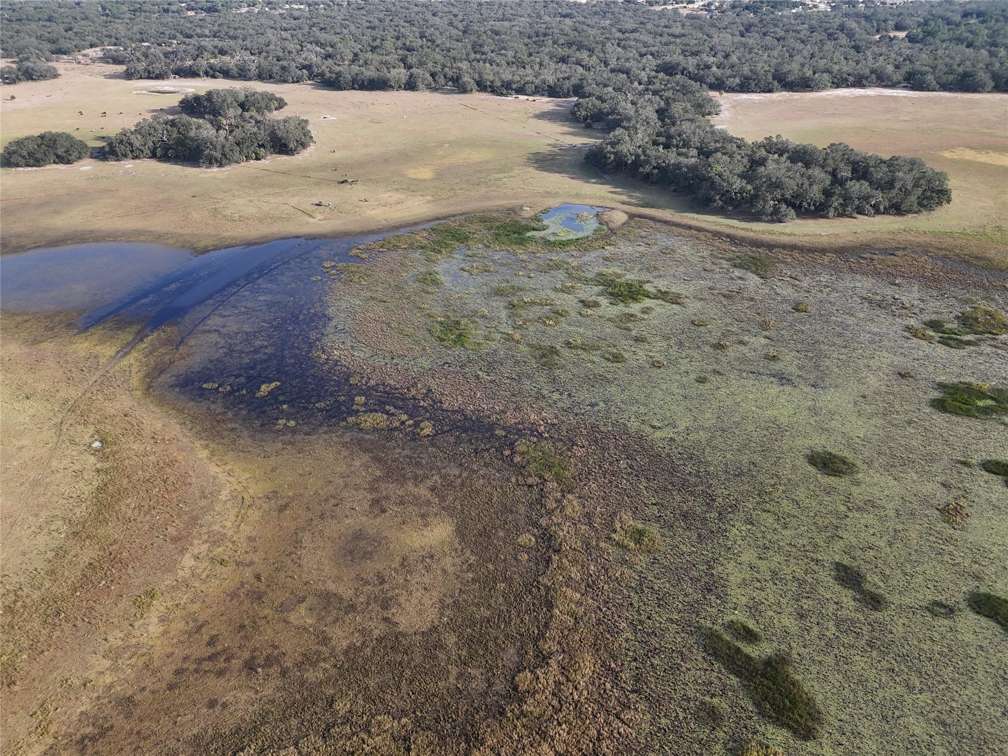 Lake Hatcheneha - Land