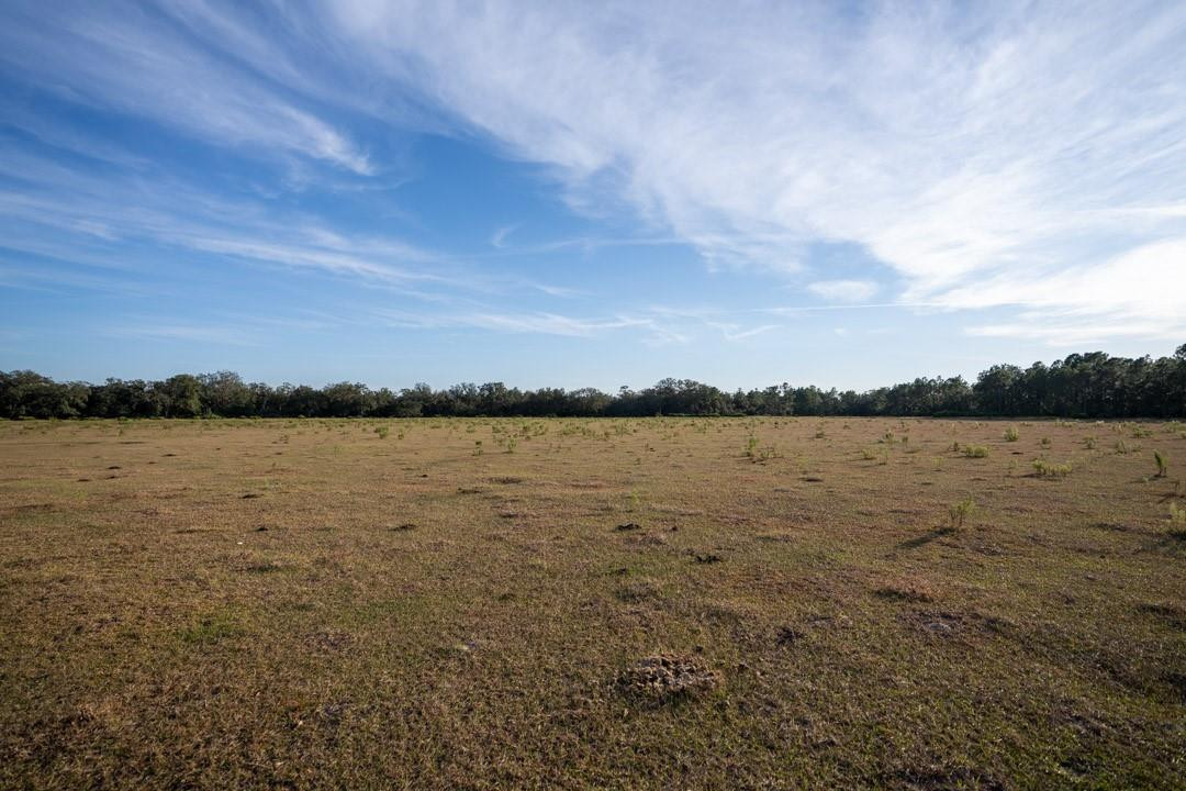 Lake Hatcheneha - Land